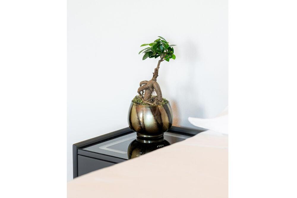 Bes Residence Bergamo Polaresco 외부 사진
